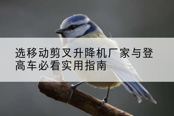 安平电动升降机厂家-选移动剪叉升降机厂家与登高车必看实用指南