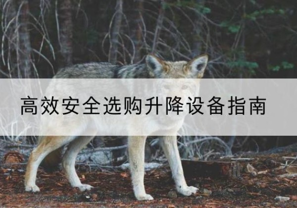 安平升降货梯厂家推荐-*安全选购升降设备指南