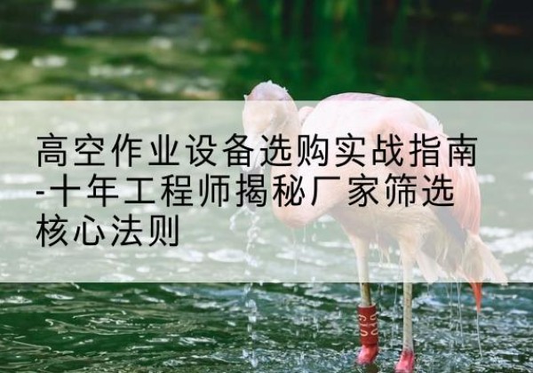 安平剪叉式升降机厂家-高空作业设备选购实战指南-十年工程师揭秘厂家筛选核心法则